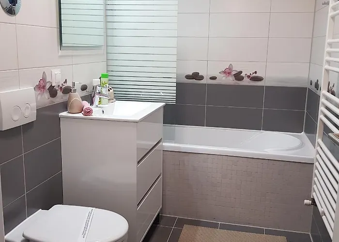 T&m Apartment Brasov